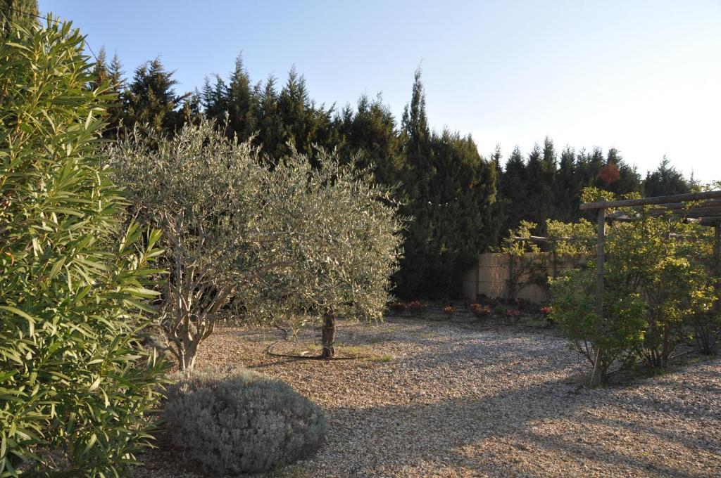 La Maison de Line Saint-Rémy-de-Provence Extérieur photo