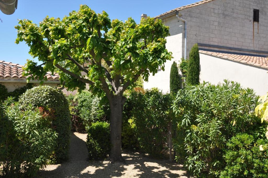 La Maison de Line Saint-Rémy-de-Provence Extérieur photo
